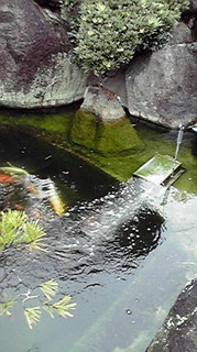 2010112210000001.jpg