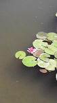 2010081112510001.jpg